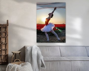 Ballerina to heaven van peterheinspictures