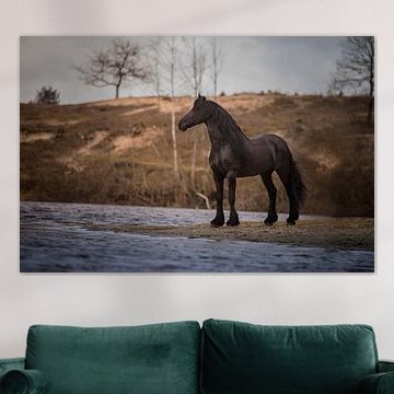 Fries paard in de natuur von Emma van Veldhuisen