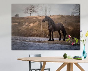 Fries paard in de natuur von Emma van Veldhuisen