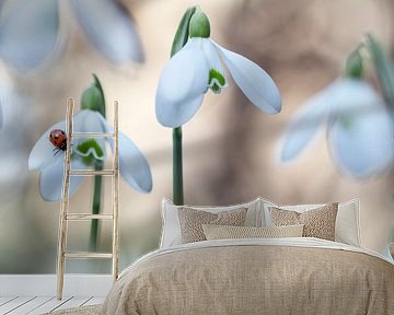 Sneeuwklokjes met lieveheersbeestje