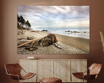 Spectaculair Robijn strand aan de Amerikaanse westkust