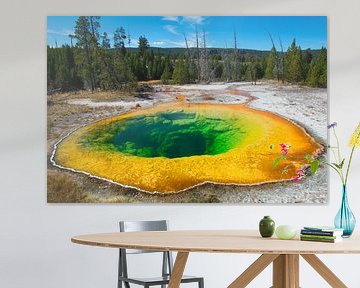 Morning Glory Pool at Yellowstone NP van René Roelofsen