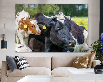 Portret kop van koe met kalf samen in wei van Ben Schonewille