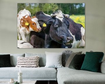 Portret kop van koe met kalf samen in wei van Ben Schonewille