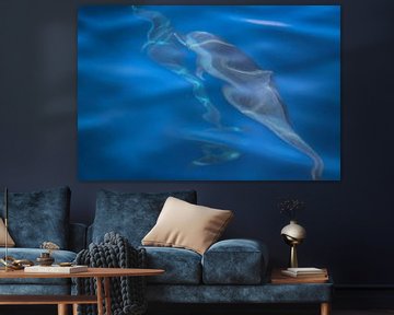 Dolfijnen in helder blauw zeewater sur Arthur Puls Photography