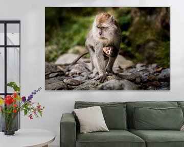 Macaque mère et enfant sur Corrine Ponsen