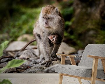 Moeder en kind makaak, monkey and baby van Corrine Ponsen