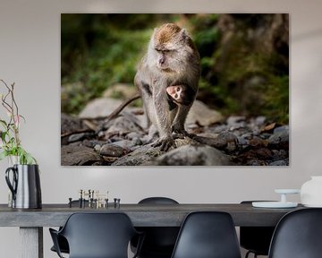 Moeder en kind makaak, monkey and baby van Corrine Ponsen