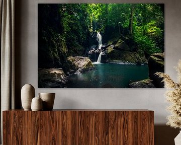 Sumatra waterval, tropical waterfall van Corrine Ponsen