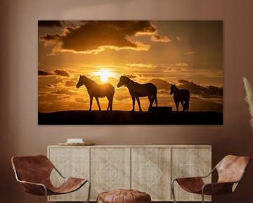 Silhouet van 3 paarden tijdens zonsondergang