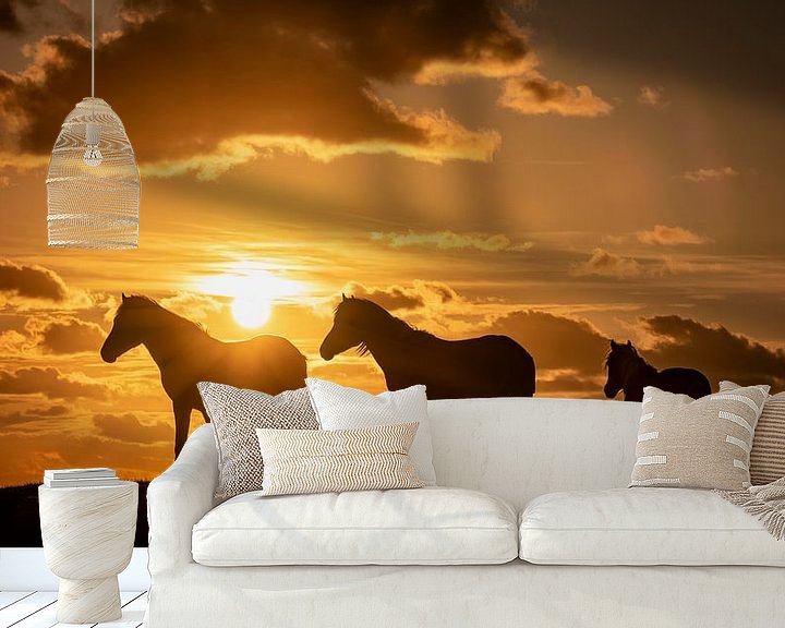 Sfeerimpressie behang: Silhouet van 3 paarden tijdens zonsondergang van Martijn van Dellen