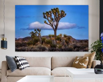 Joshua Tree von Photo Wall Decoration