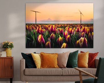 Tulpen en Windmolens