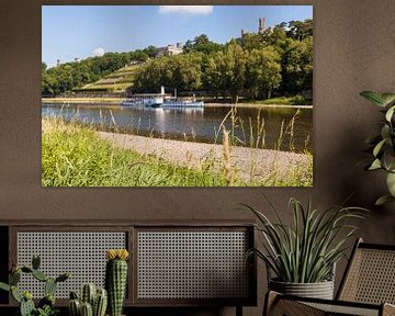 Paddle steamer on Elbe River in Dresden by Werner Dieterich