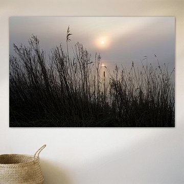 Mist at sunset at the lake