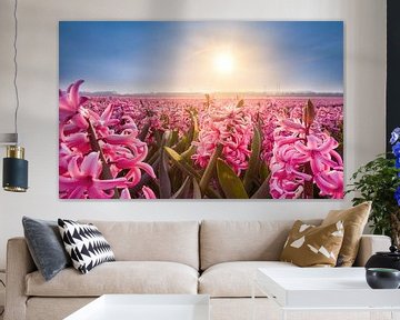 Hyacinths on the bulb fields in the spring by Remco Piet