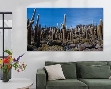 Cactuseiland in een zoutmeer gelegen in Bolivia. van Tanja de Mooij