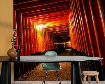 Torri gates - Fushimi Inari bij nacht - Japan