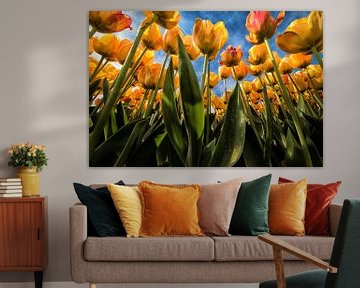 Gele - oranje tulpen kikvorsperspectief van Marjolijn van den Berg