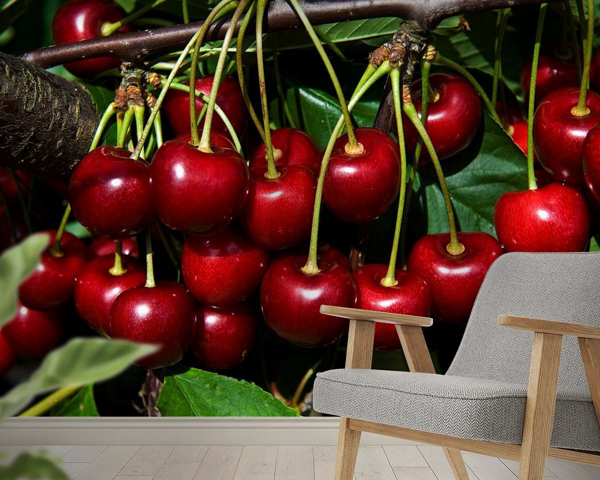 Raumvorschau