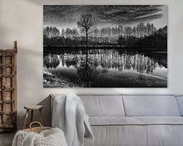 Trees in black and white by Yvonne Blokland