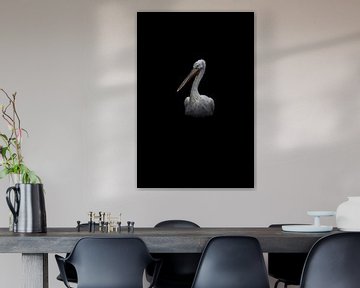 Pelikan von JNSSN Fotografie