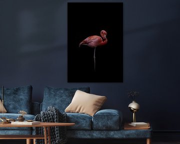 Flamingo van JNSSN Fotografie