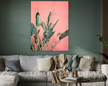 Green palm leaves for a pink wall by Raisa Zwart