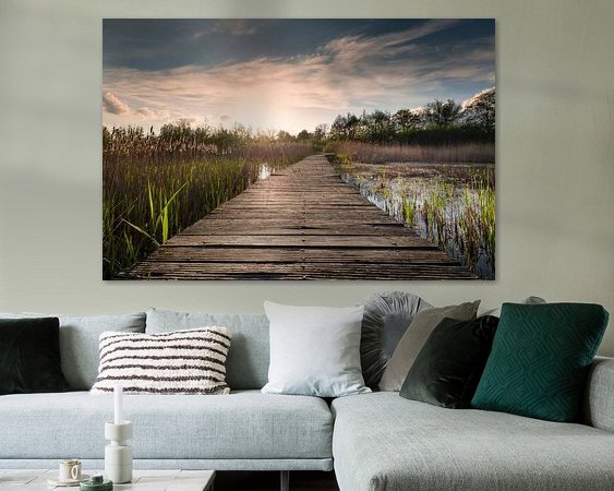 Aperçu de la chambre