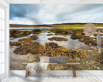 Eb bij Loch Greshornish, Isle-of-Skye Schotland