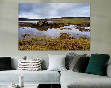 Ebbe am Loch Greshornish, Isle-of-Skye Schottland