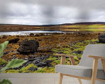 Eb bij Loch Greshornish, Isle-of-Skye Schotland