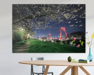 Blossom flowers & the Willemsbrug by night. van Claudio Duarte