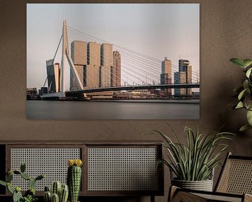 Erasmus Bridge, Rotterdam van Lorena Cirstea