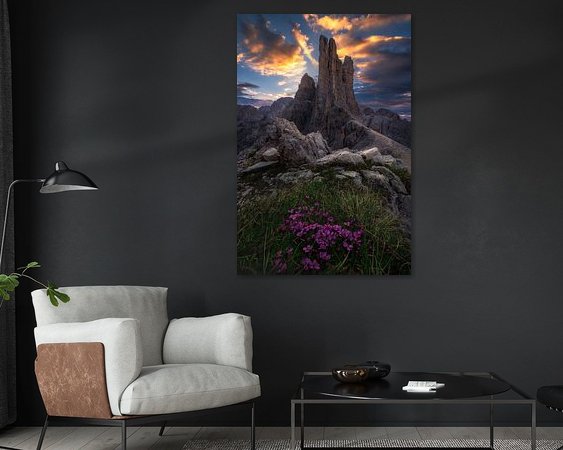 Aperçu de la chambre