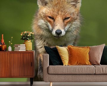 Vos by Erik Veldkamp