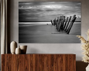The Beach, zwart/wit versie van Truus Nijland
