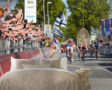 Mathieu van der Poel wins the Amstel Gold Race by Leon van Bon