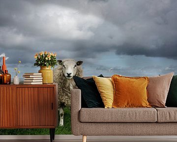 Schaapjes op de Waddendijk van Groningen