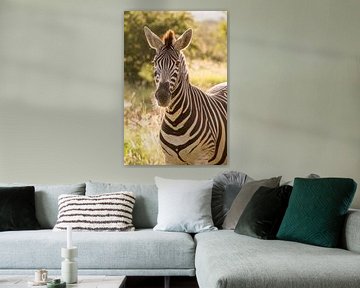 Zebra portret van Marijke Arends-Meiring