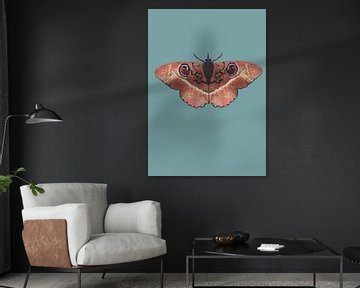 Moth Terra colored background by Angela Peters