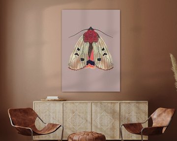 Moth cream on colored background by Angela Peters