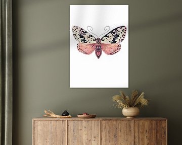 Moth with black spots on white background by Angela Peters