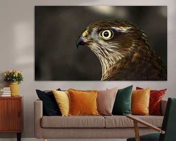The sparrow hawk by Daniel van Vliet