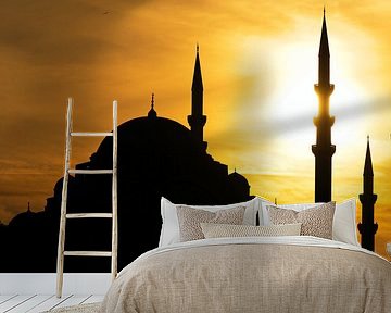 Istanbul Mosque by Borg Enders