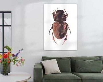 Print van een kever, bijzondere insecten illustratie van Angela Peters