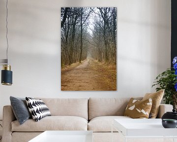 forest avenue by Yvonne Blokland
