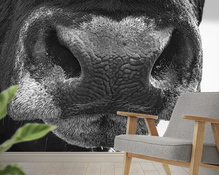 Sfeerimpressie behang: Neus van een stier in zwart/wit van Martijn van Dellen