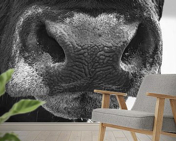Neus van een stier in zwart/wit van Martijn van Dellen