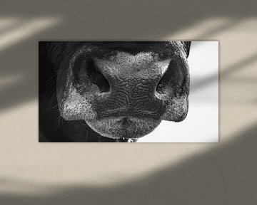 Neus van een stier in zwart/wit von Martijn van Dellen